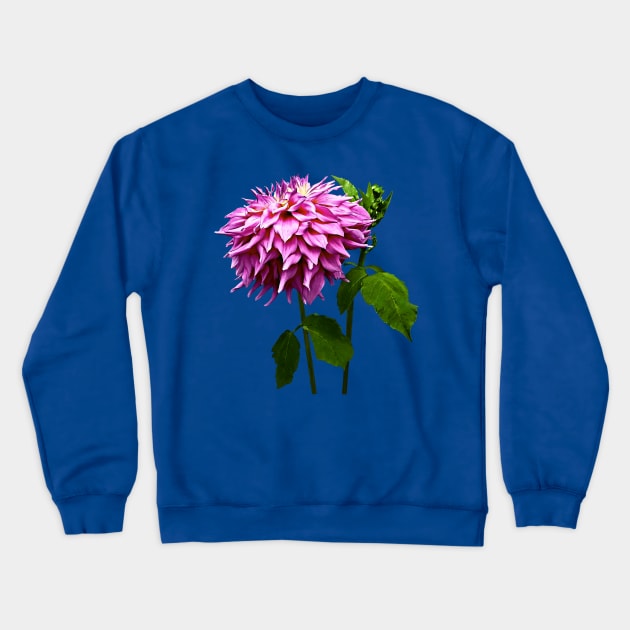 One Pink Dahlia and Buds Crewneck Sweatshirt by SusanSavad